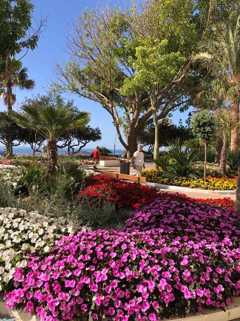 La Rada Beach Estepona Centro 外观 照片